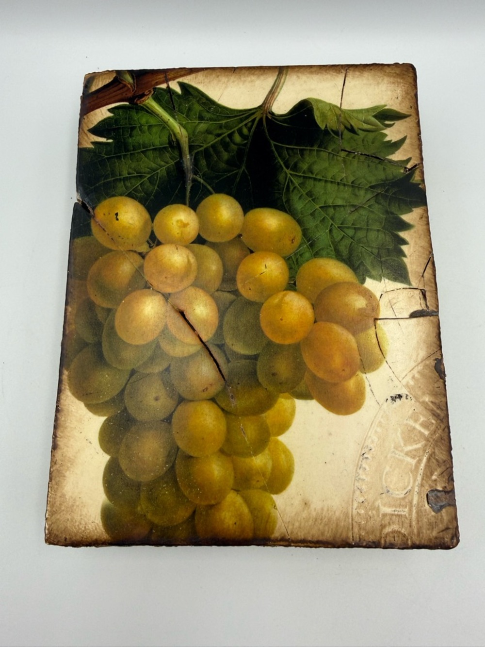 Sid Dickens Memory Blocks - T110 Grapes (Retired)
